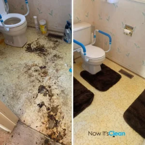 Bathroom Cleaning