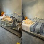 Effective Tips for a Clean and Neat Condo in Mississauga & Toronto