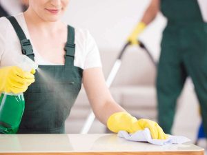What Services You Can Expect from Professional Cleaners