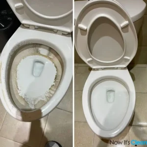 Toilet Cleaning