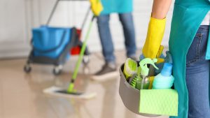 Affordable Products For Cleaning Purpose 1