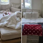 Condo Cleaning Checklist: The Ultimate Guide to a Spotless Home