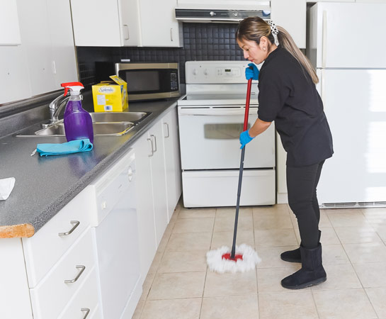 North York Top Rated Cleaning Company