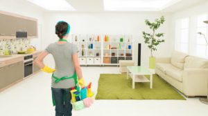 Professional Cleaning Services